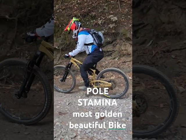 One of the most beautiful golden bikenout there