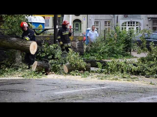 Powalone drzewo w centrum Olsztyna