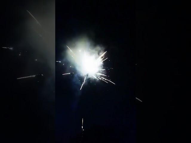Pyroally Fireworks 36shots Cake from the world famous fireworks city Liuyang, China