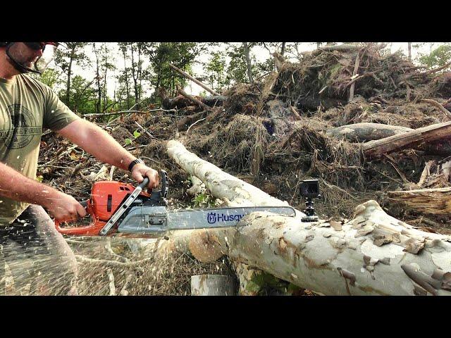 You're gonna love this!Testing THE BEAST! 572XP Pro Chainsaw!