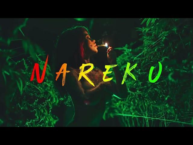 Nareku - Ragga Mix (Reggae, Raggastep, Dub)_HD