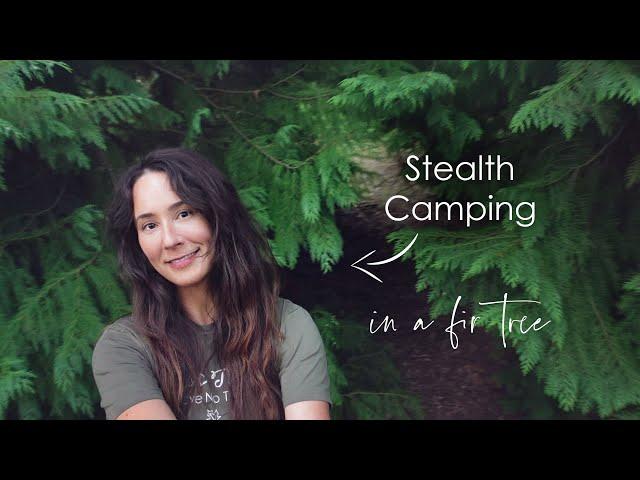 Stealth Camping in a Fir Tree 