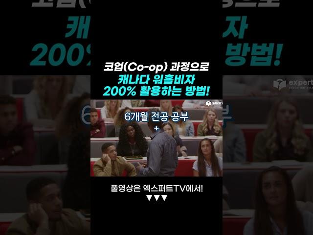 코업(Co-op) 과정으로 캐나다 워홀비자 200% 활용하는 방법! #캐나다워홀 #캐나다유학 #캐나다이민