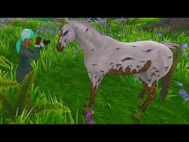 Magic Garden Flowers  NEW Star Stable Quest