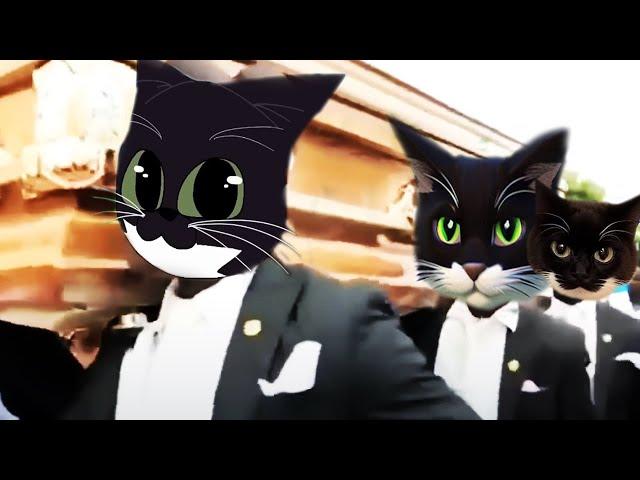 Maxwell Cat - Coffin Dance Song (COVER)