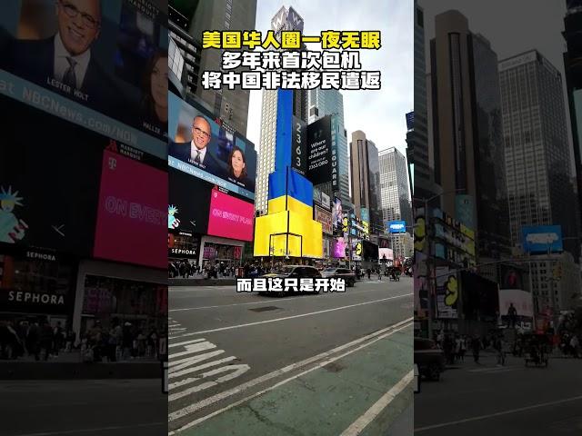 美国华人圈一夜无眠，多年来首次包机将中国非法移民遣返 #华人 #移民#走线