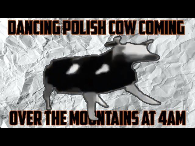 Dancing Polish Cow Coming Over the Mountains at 4am