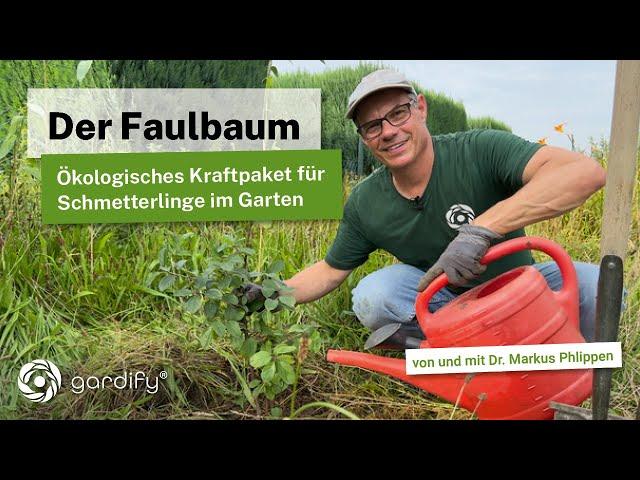 Der heimische Faulbaum - So förderst du Biodiversität im Garten und hast ein Paradies für Raupen!