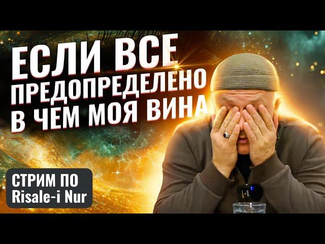 Предопределение и Личный Выбор, Есть ли Противоречия? | #ислам #судьба #религия #выбор