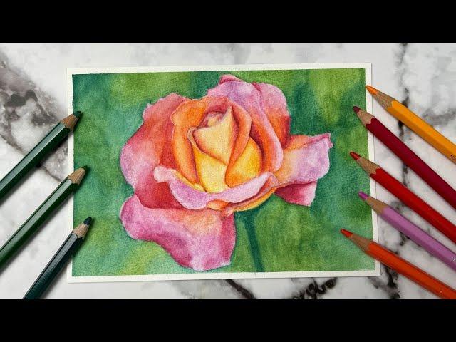 How To Use Watercolor Pencils & Watercolor Pencil Flower Painting