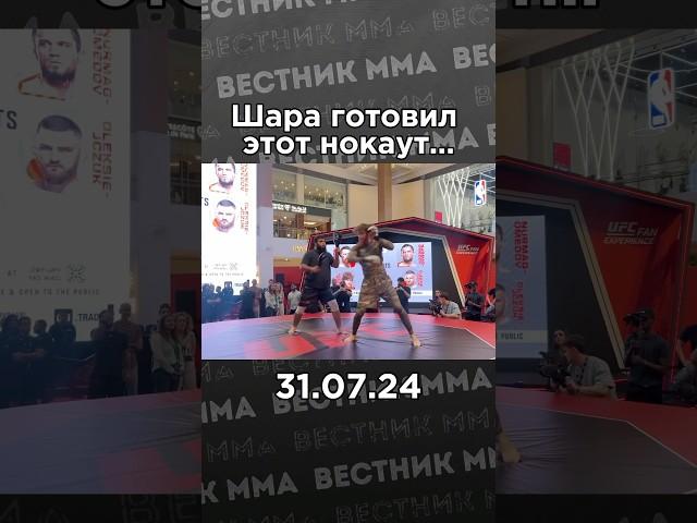 Шара Буллет (15-0) нокаутировал Армена Петросяна (9-4) в конце второго раунда на #ufc308 #mma
