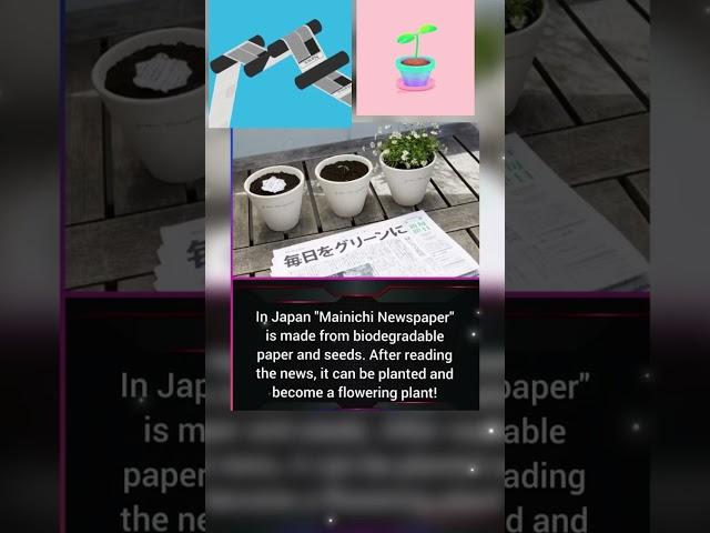 Newspaper Is Made From Biodegradable Paper And Seeds #newspaper #seeds #plant #japan #japanlife #See