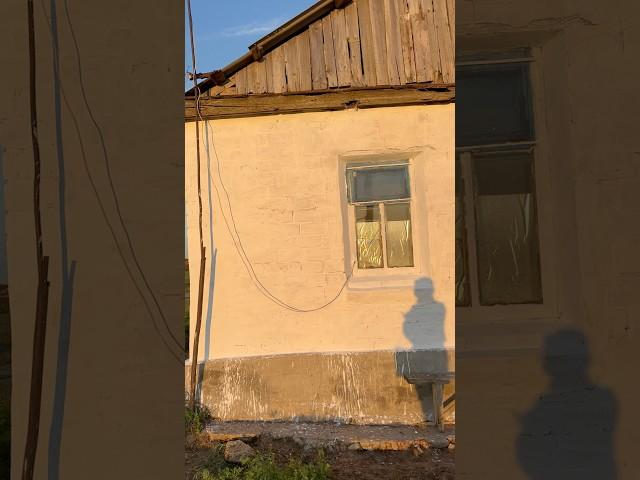 Новый дом