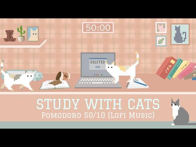 Study with Cats  Pomodoro timer 50/10 | Soft lofi + Cat animation for a stress-free study session