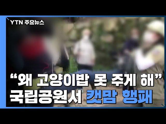 "왜 고양이 밥 못 주게 해?"...국립공원에서 캣맘 행패 / YTN