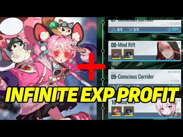 ZERO STABILITY INFINITE EXP Farm Trick!? 【Etheria: Restart】