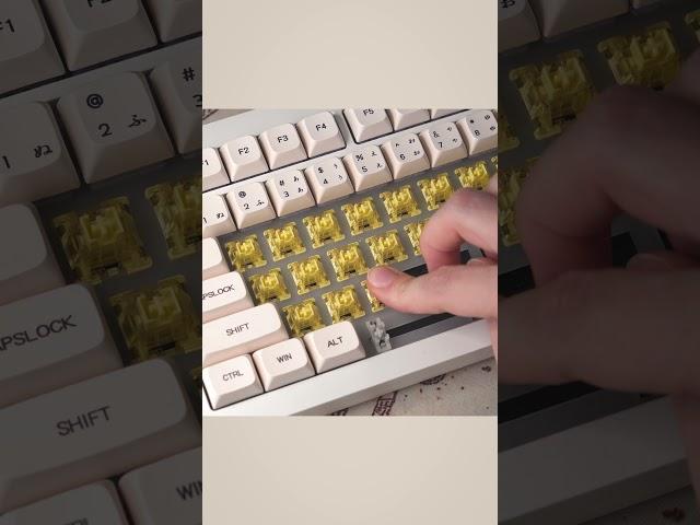 Akko V3 Cream Yellow vs. V3 Yellow PRO | Comparison Typing Test #shorts #akko #customkeyboard