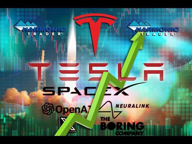 Tesla TSLA  Generational Entries - Daily Bullish Harmonics