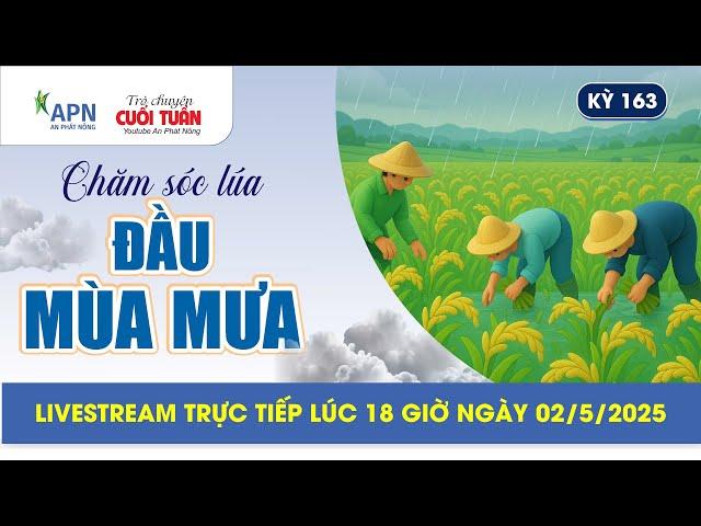APN - CHĂM SÓC LÚA ĐẦU MÙA MƯA | TRÒ CHUYỆN CUỐI TUẦN KỲ 163