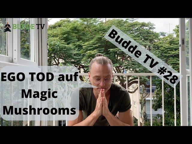 Ego Tod auf Magic Mushrooms (Psilocybin Pilze Erfahrungsbericht) - Budde TV #28