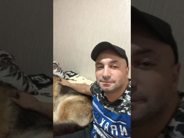 Немного юмора  #shorts #юмор #цитаты