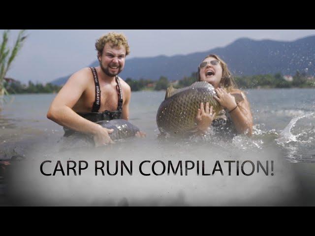 CARP RUN COMPILATION - Extreme Carpfishing Bites