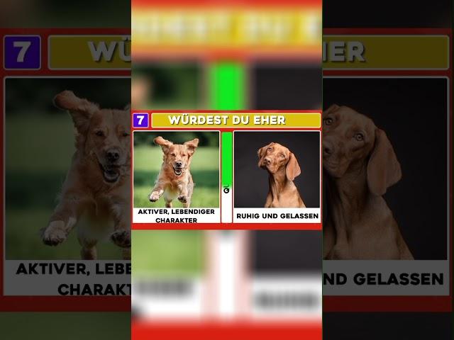 Würdest du eher? Hunde edition