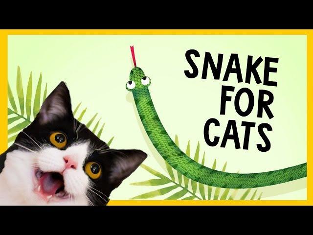 SNAKE FOR CATS