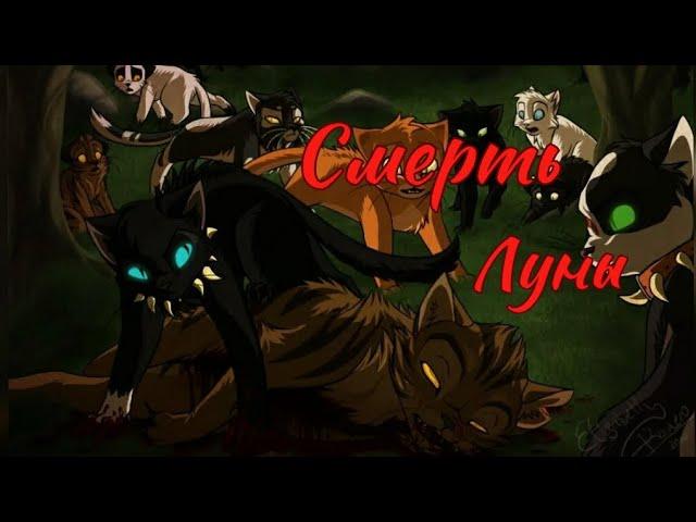 ЗАКАЗ Коты Воители Звездоцап и Бич: Смерть луны [Asper X]