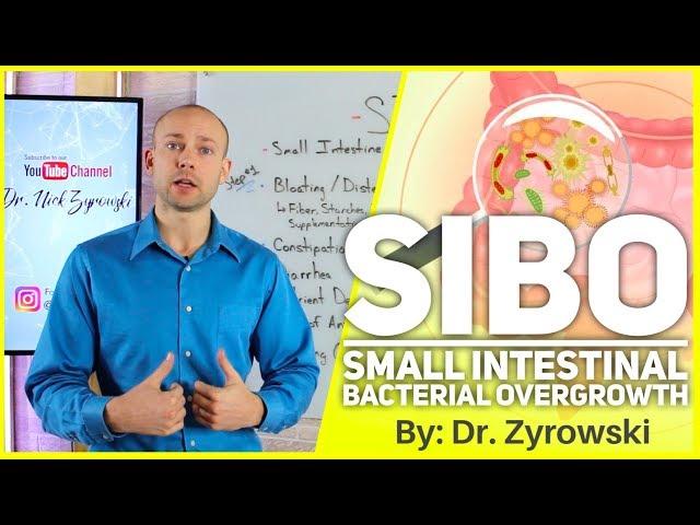 Small Intestine Bacterial Overgrowth | How To Reverse SIBO
