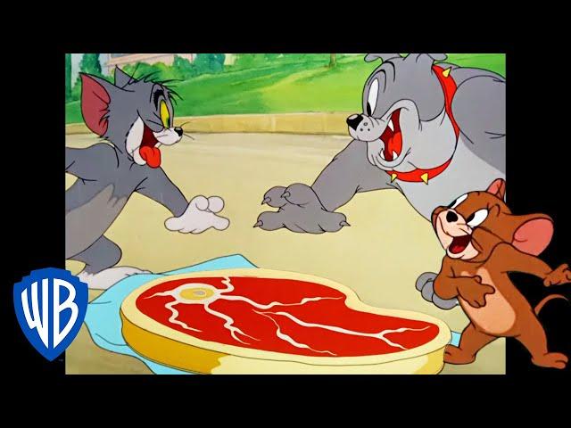 Tom i Jerry po polsku | Prawdziwa przyjaźń ️ | WB Kids