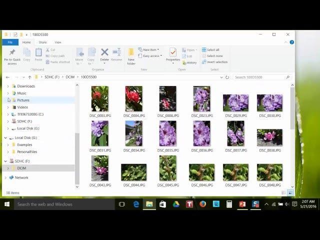 File Explorer: Working with Files & Folders