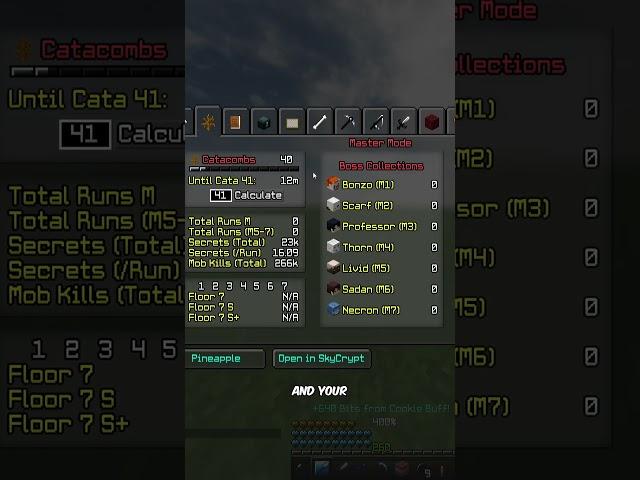 Endgame Player Reviews Your Profiles! [132] #minecraft  #hypixel   #skyblock    #yadi