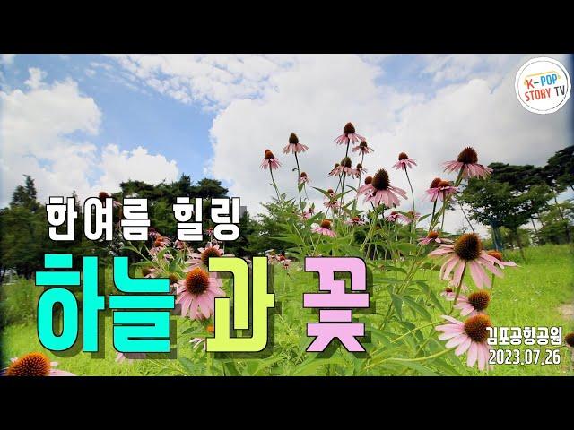 한여름 하늘과 꽃 풍경힐링(풍경영상)20230726 KPOP STORY TV