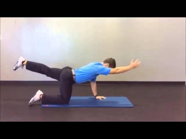 Bird Dog Exercise