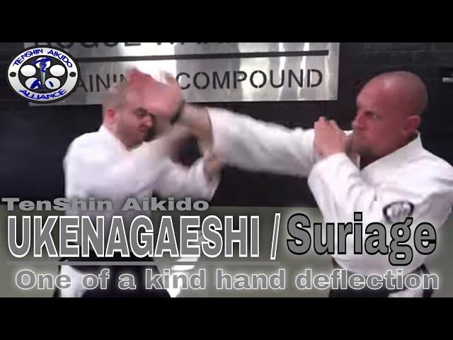 TenShin Aikido - Ukenagaeshi / Suriage Hand deflections - FREE online class