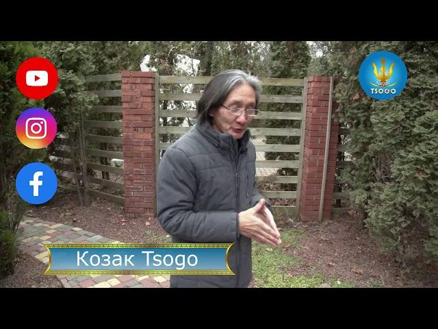 Ваш Козак Tsogo