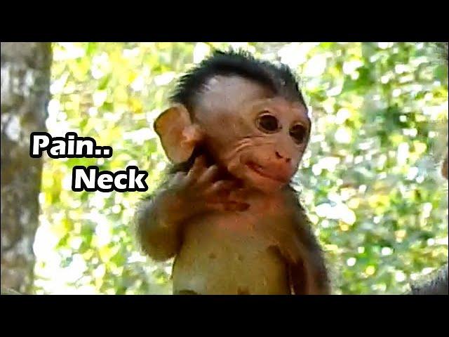 Painful On Neck Small Baby Alba Show Act So Hurt Want Anna Groom | So Pity Poor Baby Alba