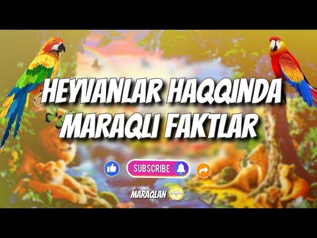 Heyvanlar haqqında maraqlı faktlar@Maraqlan