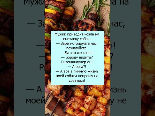 невероятная выставка #позитив#юмор#ржака#прикол#memes