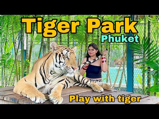 Tiger park phuket Thailand | Phuket City Tour | biggest & smallest Tiger Play with tigers #thailand