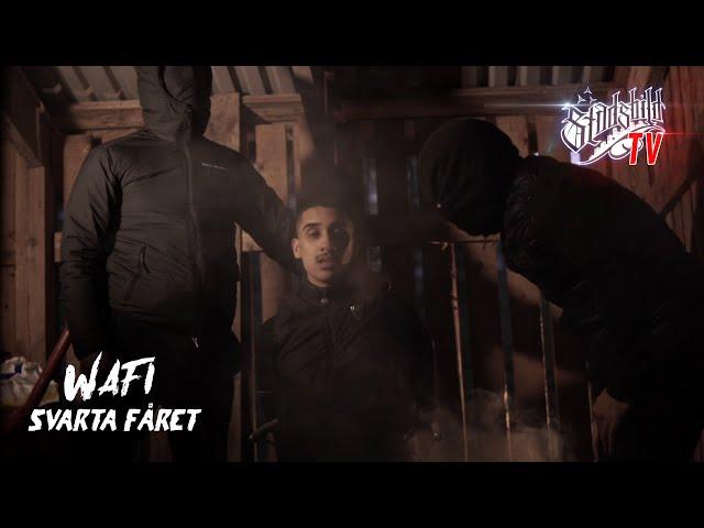 Wafi - Svarta fåret (officiell video) | @wafi1.official prod @mattecaliste