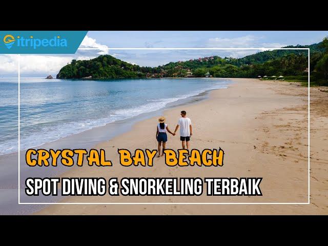 Crystal Bay Beach, Pantai Sebening Kristal di Nusa Penida Bali