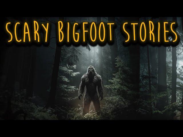 Terrifying BIGFOOT Stories That Will Give You Chills | Sasquatch Encounters, Deep Woods, Forest