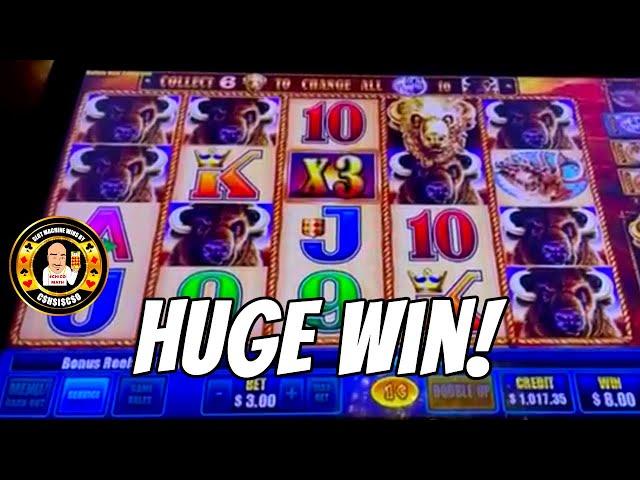 HUGE WIN on Buffalo Gold Slot Machine