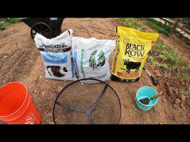 SURPRISING RESULTS   Black Kow Compost and Manure tested against 2 other brands #garden #organic