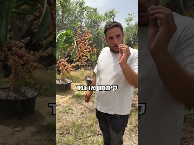 הטעות הכי גדולה שאתם עושים בגידול הביתי