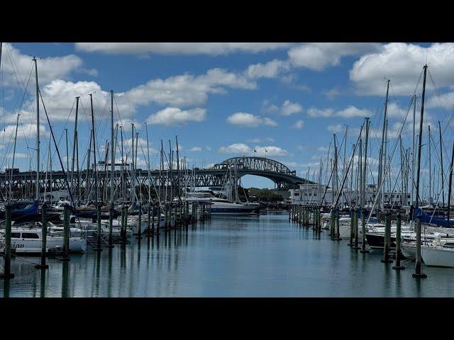 Westhaven Marina AucklandLive from New Zealand