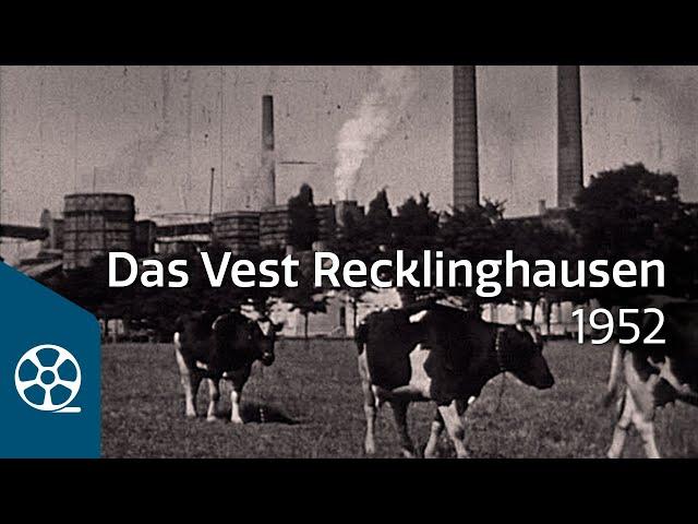 Das Vest Recklinghausen - Nachkriegszeit und Wirtschaftswunder 1952 | FILMSCHÄTZE