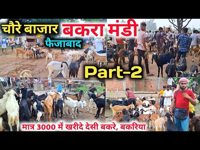 मात्र 3000 में खरीदे देसी बकरे, बकरिया |Fazibad chaure Bazar Bakra Mandi |Faizabad ki Bakra mandi